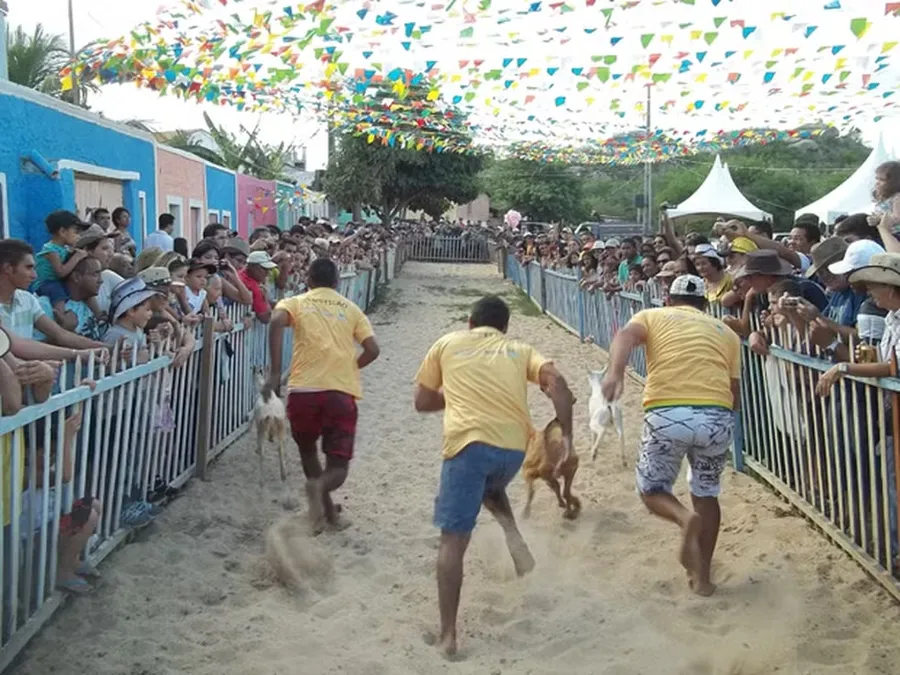 Fórmula Bode na Festa do Bode Rei, em Cabaceiras - Foto (Taiguara Rangel)