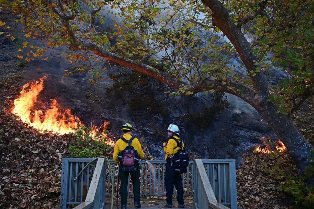 Tragédia em Los Angeles: Incêndios Deixam 16 Mortos e Milhares de Estruturas Destruídas