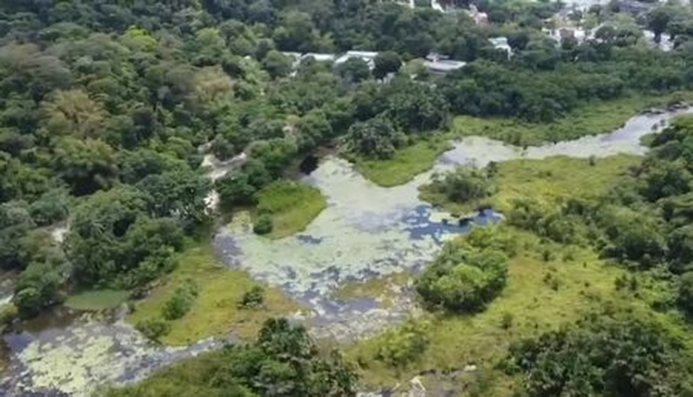 Dois Homens Desaparecem no Açude do Prata Após Tentativa de Assalto em Recife