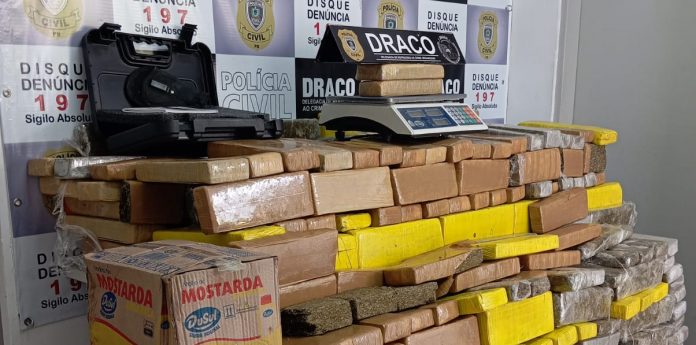 Polícia Civil apreende 500 kg de maconha e veículos de luxo em operação no Catolé, Campina Grande