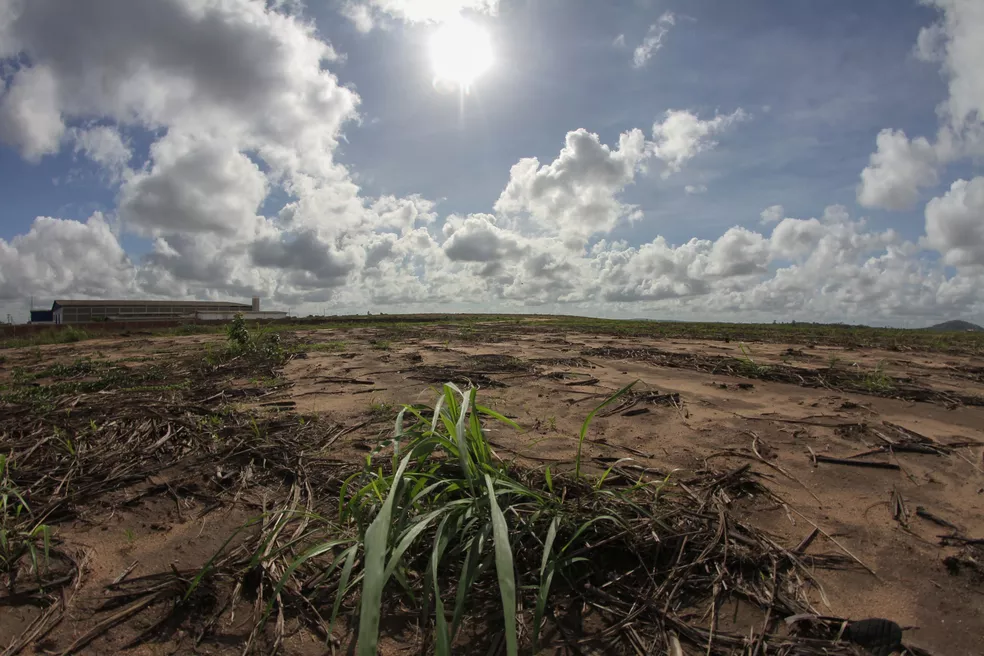 Pernambuco Declara Emergência em 118 Cidades Devido à Seca Prolongada