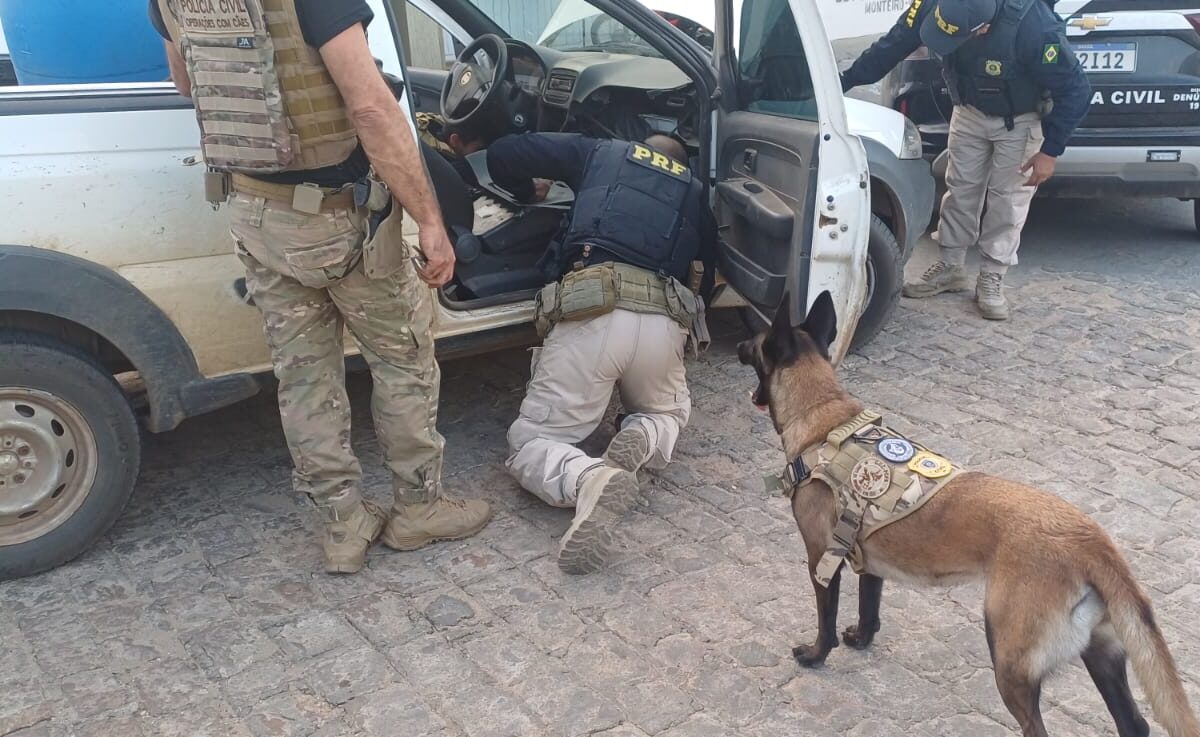 Operação Conjunta Intercepta Carregamento de Cocaína Avaliado em R$ 12 Milhões na Paraíba - Foto (Reprodução) (1)