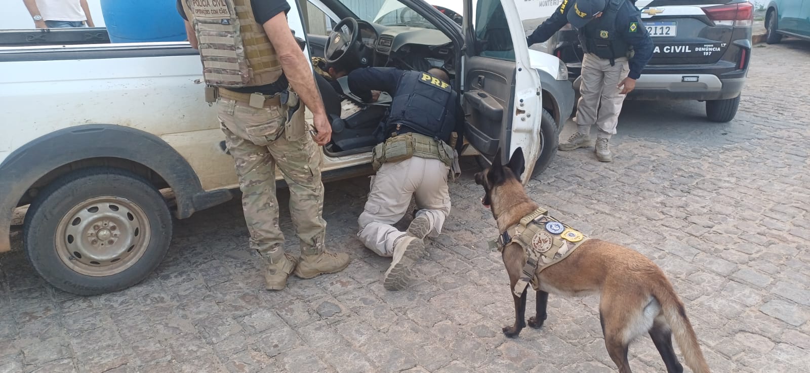 Operação Conjunta Intercepta Carregamento de Cocaína Avaliado em R$ 12 Milhões na Paraíba