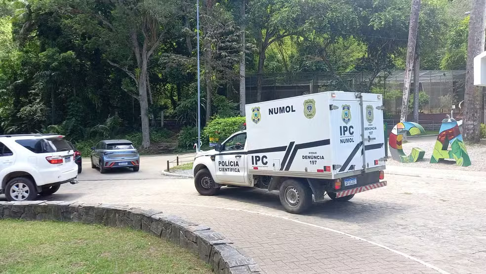 Homem é morto por leoa após invadir jaula em zoológico de João Pessoa - Foto (Silvia Torres-TV Cabo Branco)