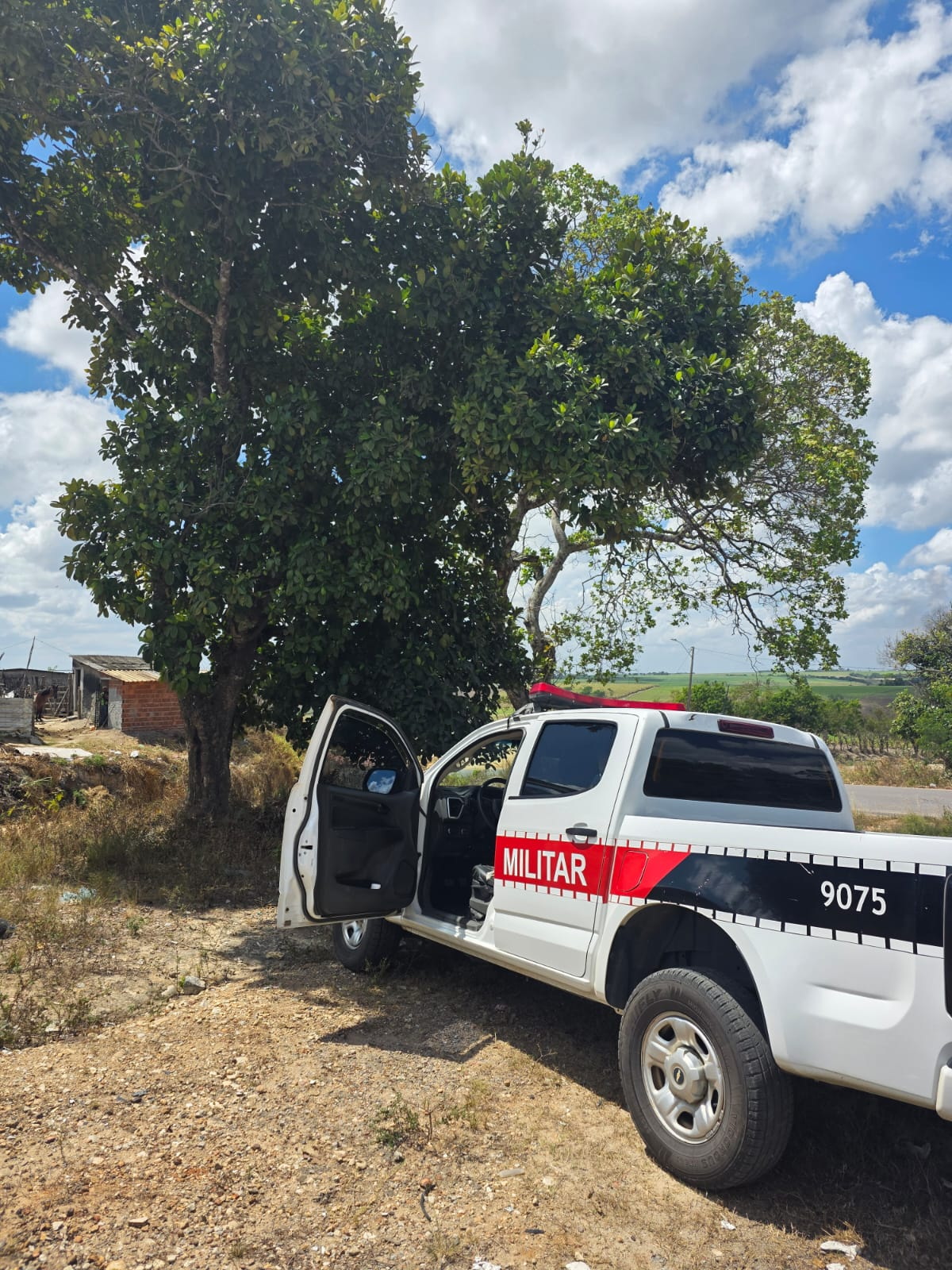 Polícia Militar de Pedras de Fogo realiza resgate heroico e evita suicídio - Foto (Reprodução)