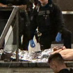 Trump classifica atirador de jantar da imprensa como "lobo solitário e doente mental"