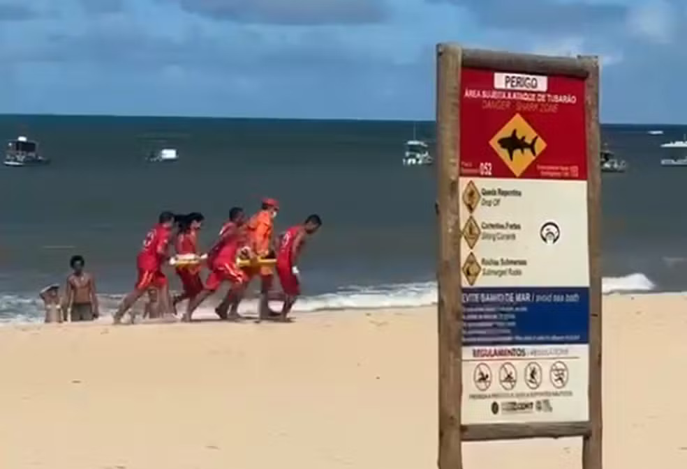 Menino de 11 anos é mordido por tubarão na Praia de Piedade, em Jaboatão dos Guararapes