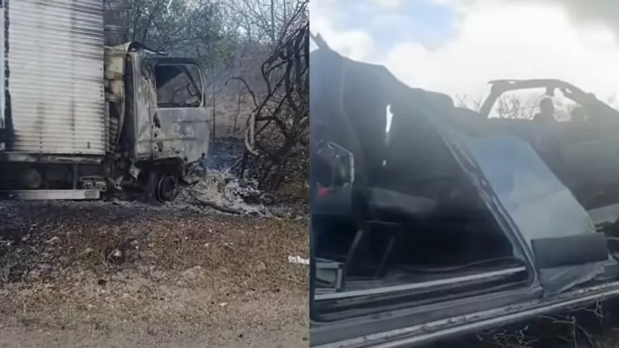 Tragédia no Sertão: colisão entre van do TFD e caminhão deixa oito mortos em Pernambuco