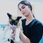 Paraíba Pet: Alhandra abre inscrições para castração gratuita de cães e gatos; saiba como se cadastrar