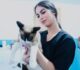 Paraíba Pet: Alhandra abre inscrições para castração gratuita de cães e gatos; saiba como se cadastrar