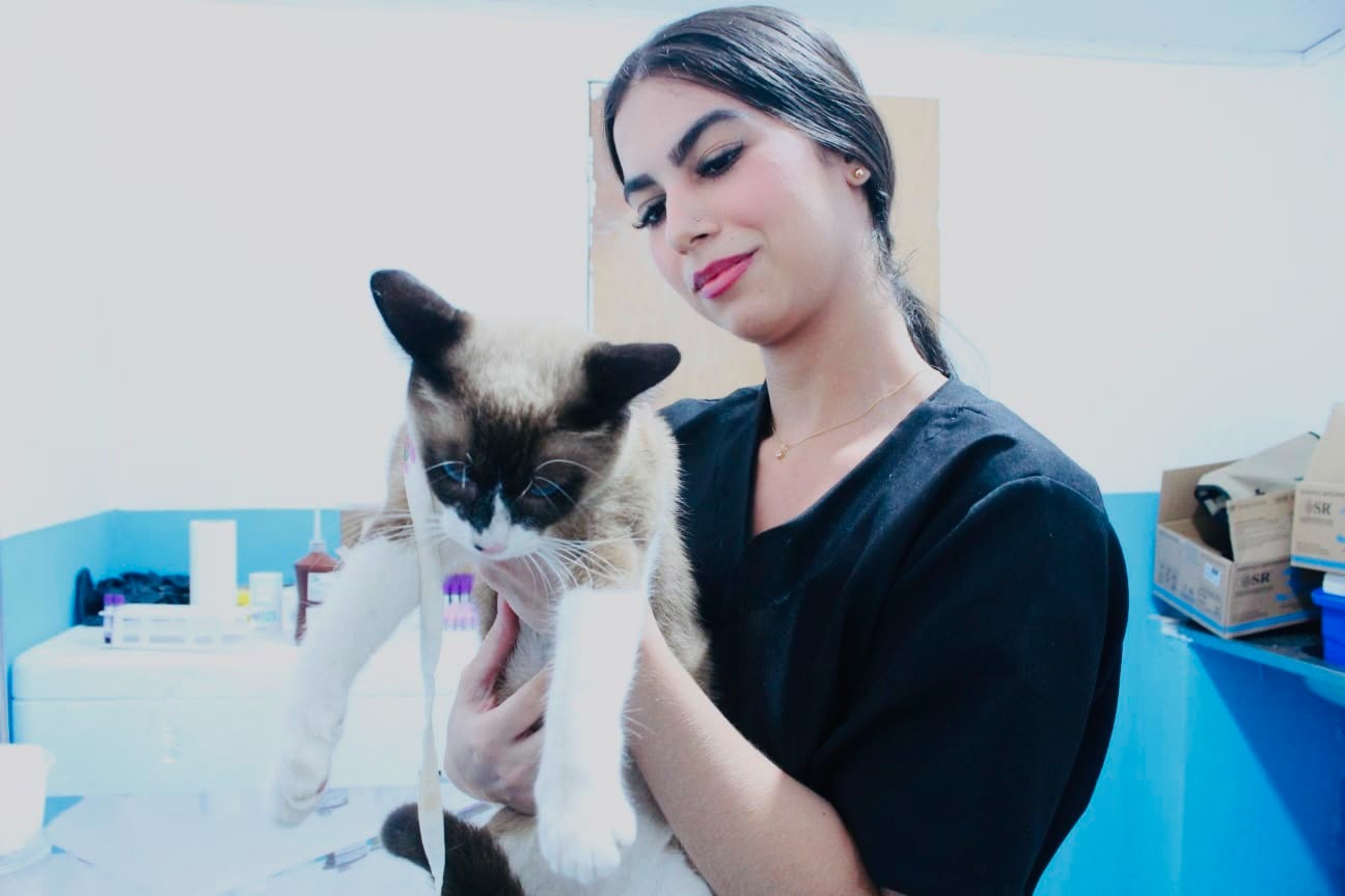 Paraíba Pet: Alhandra abre inscrições para castração gratuita de cães e gatos; saiba como se cadastrar