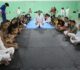 Jiu-jitsu como arma de transformação: Projeto em Alhandra molda caráter e eleva autoestima da juventude