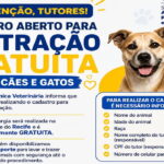 Clínica Veterinária de Goiana abre cadastro para programa de castração gratuita de cães e gatos