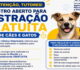Clínica Veterinária de Goiana abre cadastro para programa de castração gratuita de cães e gatos