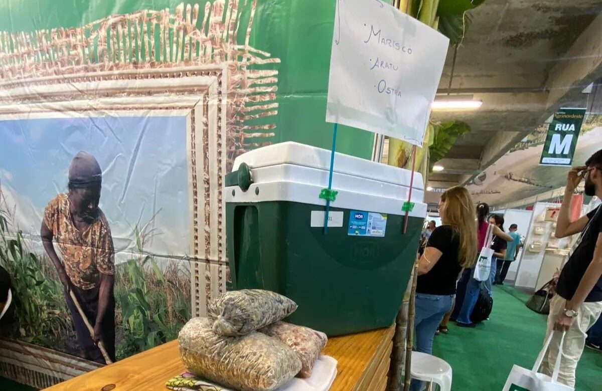 Goiana participa da Agrinordeste com produtos da agricultura familiar, artesanato e plantas ornamentais