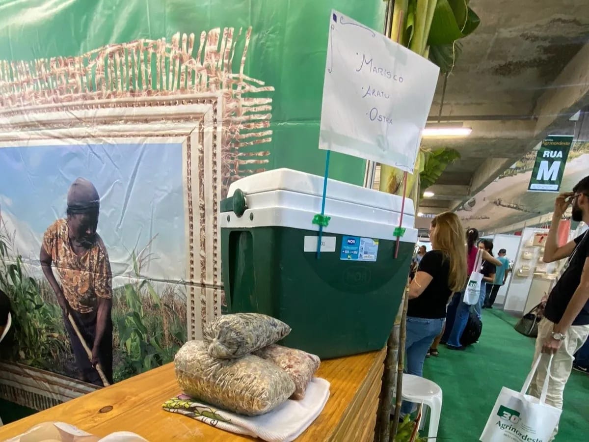 Goiana participa da Agrinordeste com produtos da agricultura familiar, artesanato e plantas ornamentais