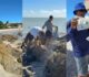 Dia Mundial da Limpeza da Praia promove mobilização ambiental em Ponta de Pedras